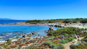 Casa con giardino sul mare vista Asinara